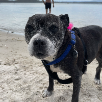 Bella's story
