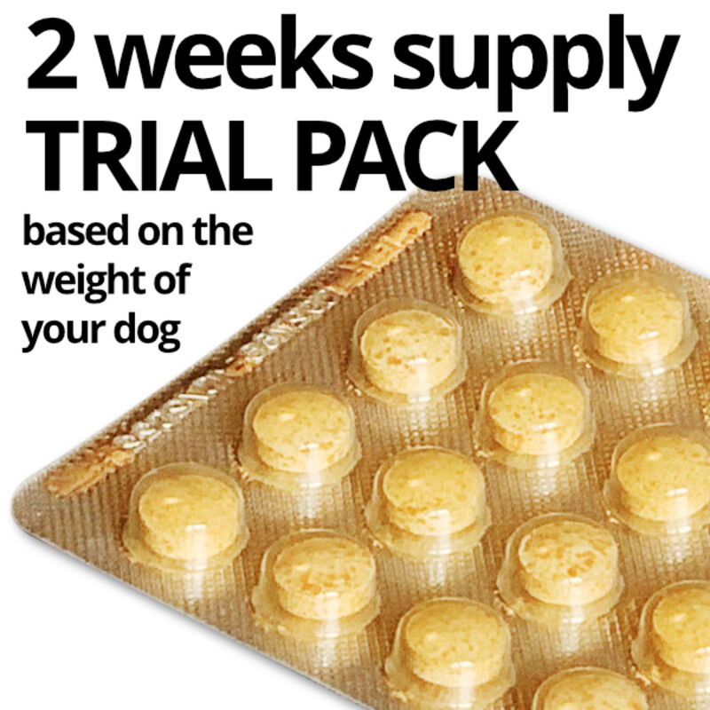 CurcuPet-K9 two-week trial pack